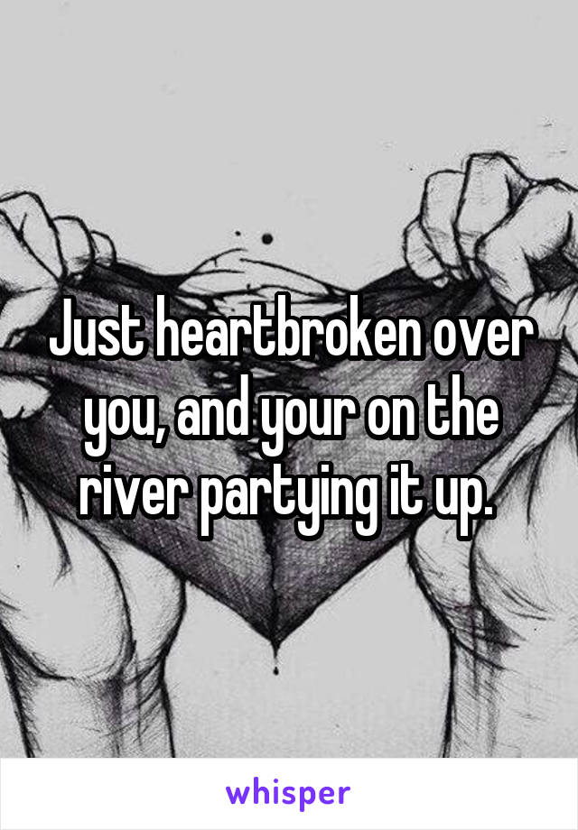 Just heartbroken over you, and your on the river partying it up. 