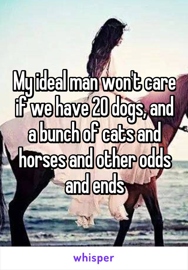 My ideal man won't care if we have 20 dogs, and a bunch of cats and horses and other odds and ends