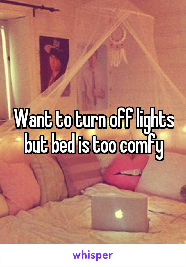 Want to turn off lights but bed is too comfy