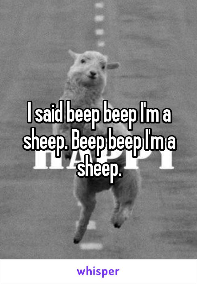 I said beep beep I'm a sheep. Beep beep I'm a sheep.