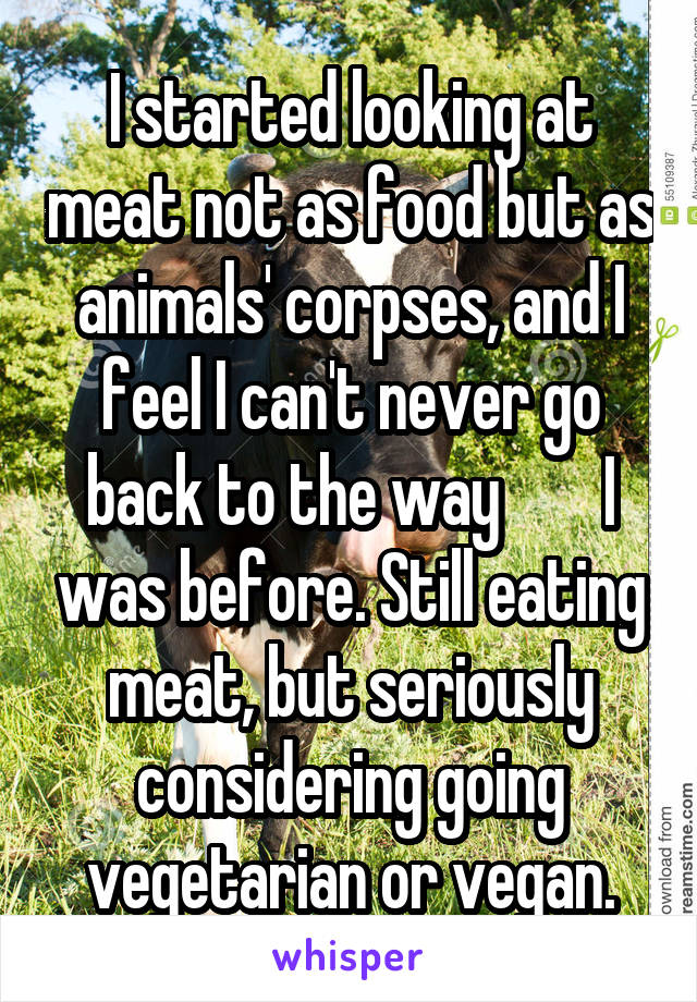 I started looking at meat not as food but as animals' corpses, and I feel I can't never go back to the way        I was before. Still eating meat, but seriously considering going vegetarian or vegan.