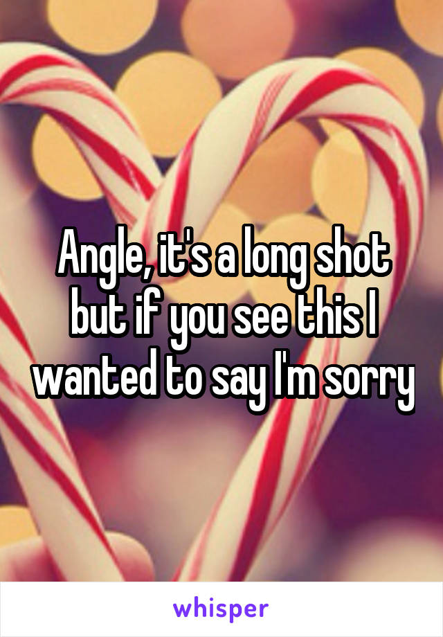 Angle, it's a long shot but if you see this I wanted to say I'm sorry
