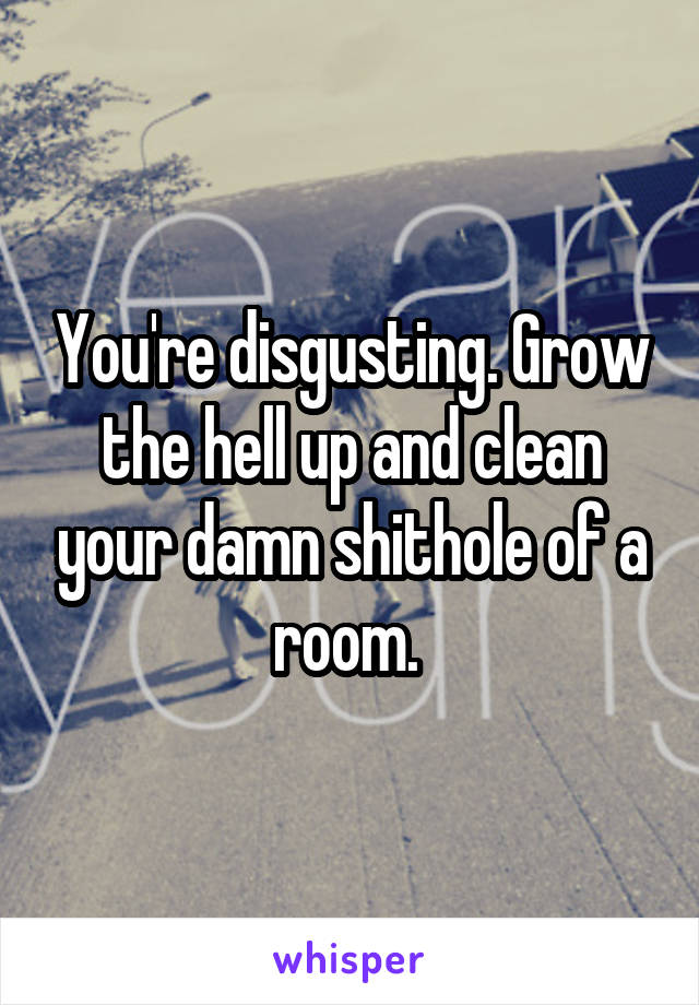 You're disgusting. Grow the hell up and clean your damn shithole of a room. 