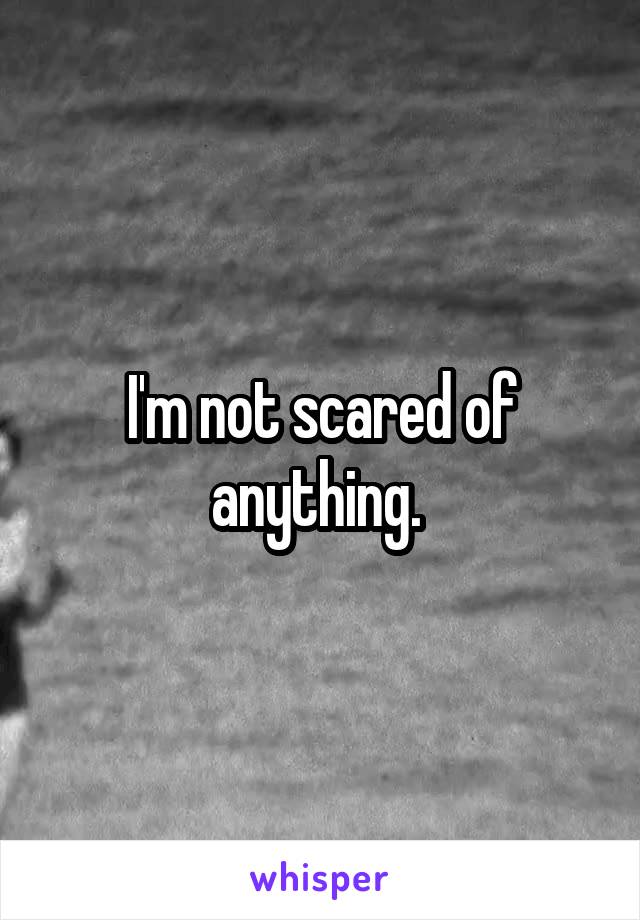 I'm not scared of anything. 