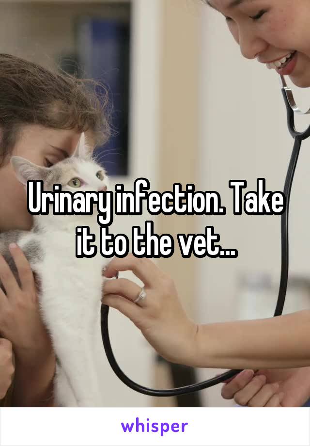 Urinary infection. Take it to the vet...