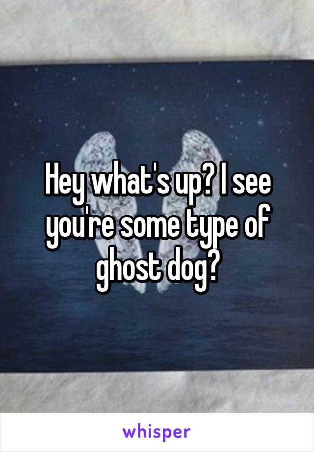 Hey what's up? I see you're some type of ghost dog?