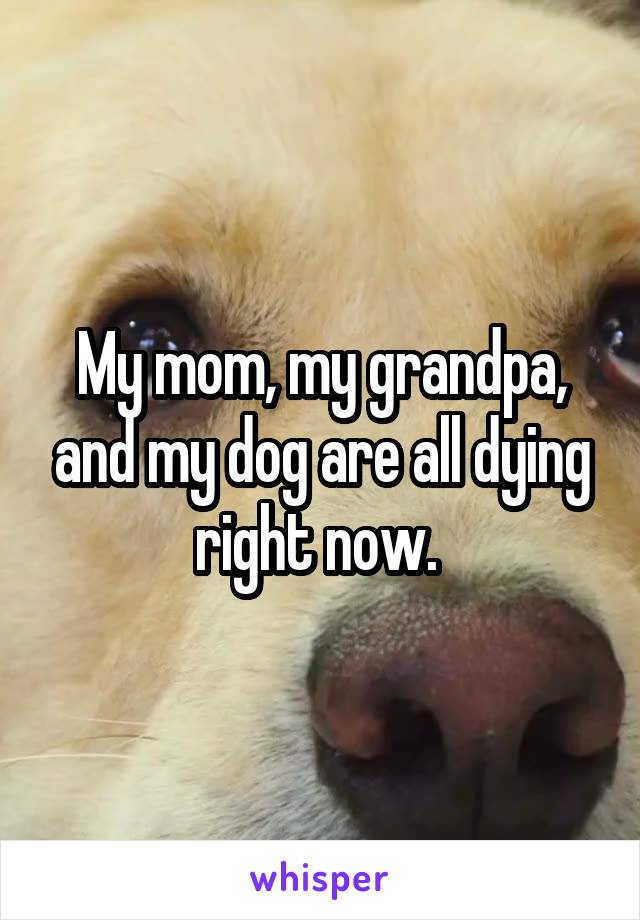 My mom, my grandpa, and my dog are all dying right now. 