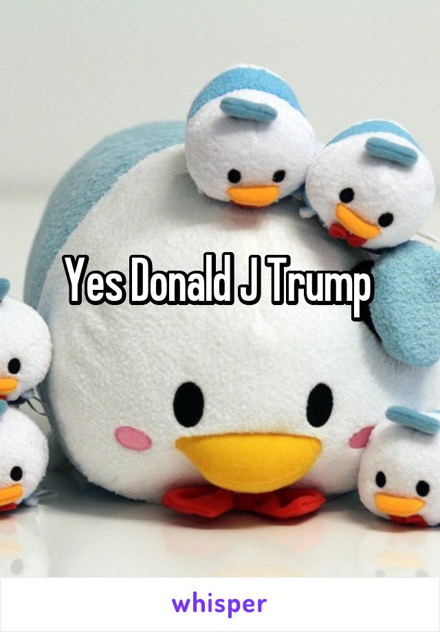 Yes Donald J Trump 
