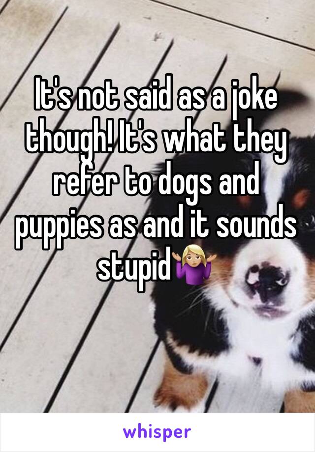 It's not said as a joke though! It's what they refer to dogs and puppies as and it sounds stupid🤷🏼‍♀️