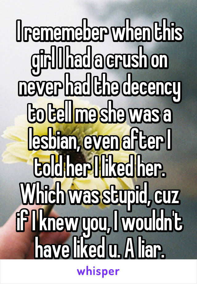 I rememeber when this girl I had a crush on never had the decency to tell me she was a lesbian, even after I told her I liked her. Which was stupid, cuz if I knew you, I wouldn't have liked u. A liar.