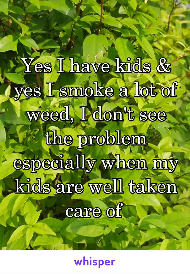 Yes I have kids & yes I smoke a lot of weed, I don't see the problem especially when my kids are well taken care of 