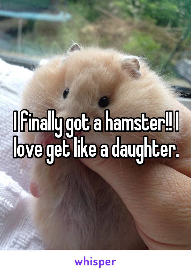 I finally got a hamster!! I love get like a daughter.