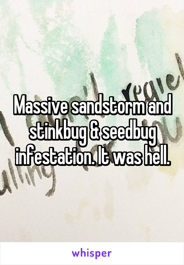 Massive sandstorm and stinkbug & seedbug infestation. It was hell.