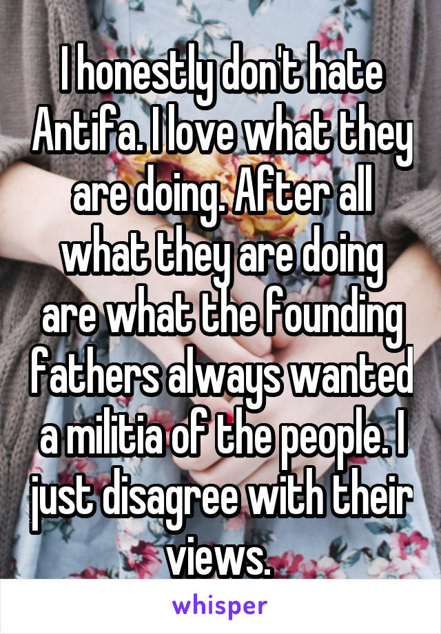 I honestly don't hate Antifa. I love what they are doing. After all what they are doing are what the founding fathers always wanted a militia of the people. I just disagree with their views. 