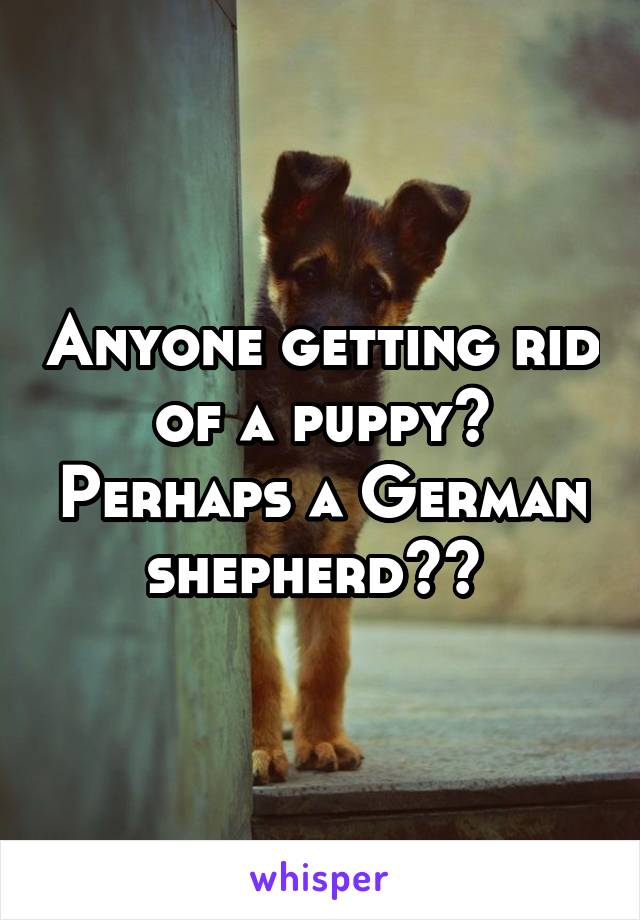 Anyone getting rid of a puppy? Perhaps a German shepherd?? 