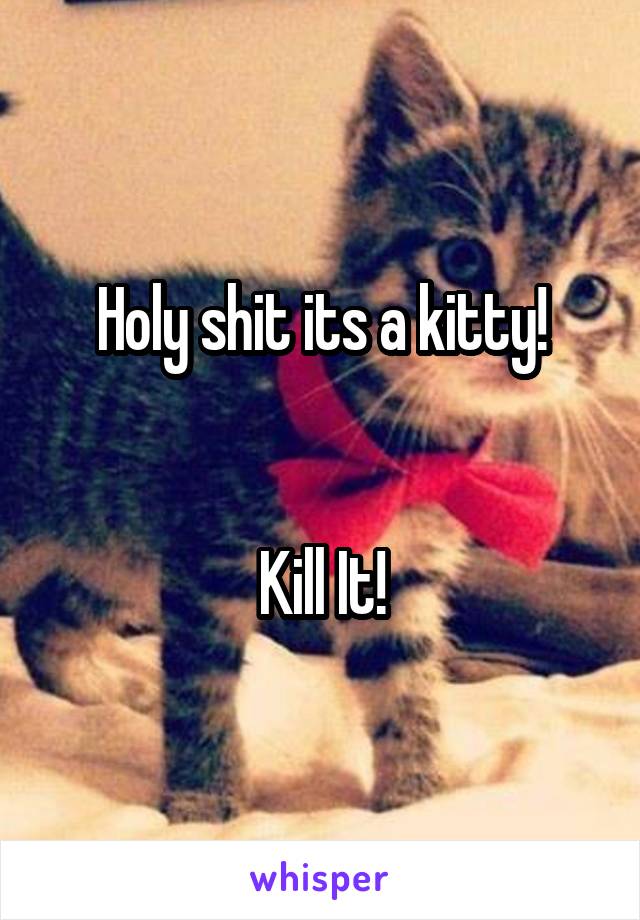 Holy shit its a kitty!


Kill It!