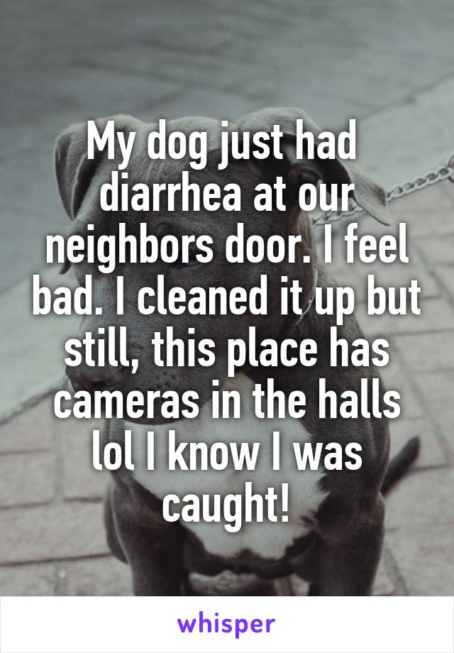 My dog just had  diarrhea at our neighbors door. I feel bad. I cleaned it up but still, this place has cameras in the halls lol I know I was caught!