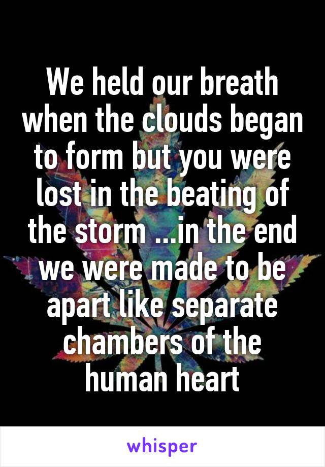 We held our breath when the clouds began to form but you were lost in the beating of the storm ...in the end we were made to be apart like separate chambers of the human heart