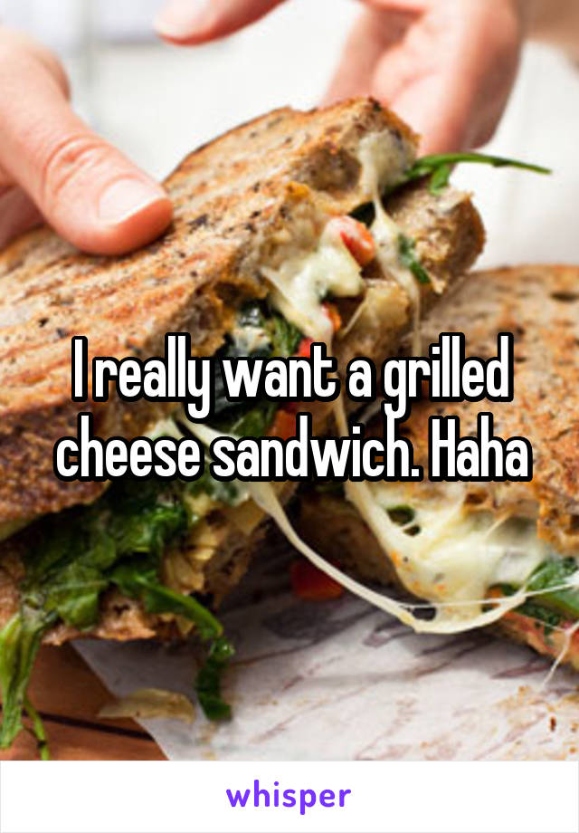 I really want a grilled cheese sandwich. Haha