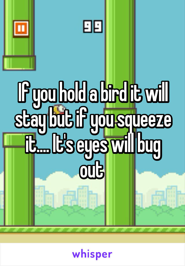 If you hold a bird it will stay but if you squeeze it.... It's eyes will bug out 