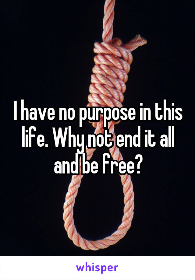 I have no purpose in this life. Why not end it all and be free?