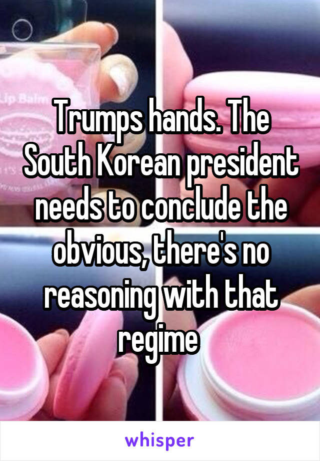 Trumps hands. The South Korean president needs to conclude the obvious, there's no reasoning with that regime 