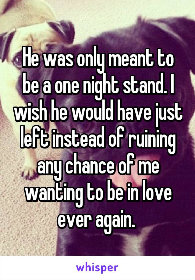 He was only meant to be a one night stand. I wish he would have just left instead of ruining any chance of me wanting to be in love ever again. 