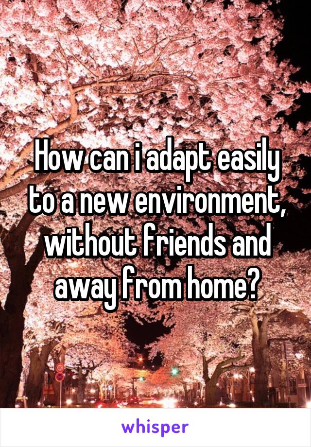How can i adapt easily to a new environment, without friends and away from home?