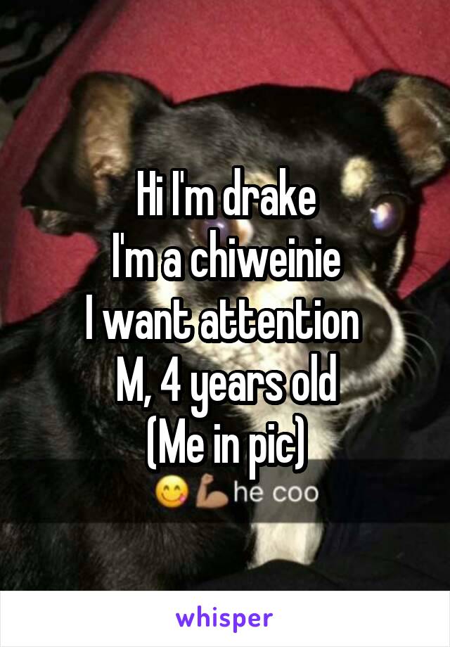 Hi I'm drake
I'm a chiweinie
I want attention 
M, 4 years old
(Me in pic)