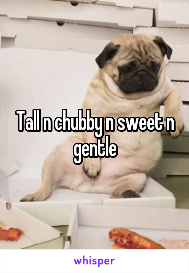Tall n chubby n sweet n gentle