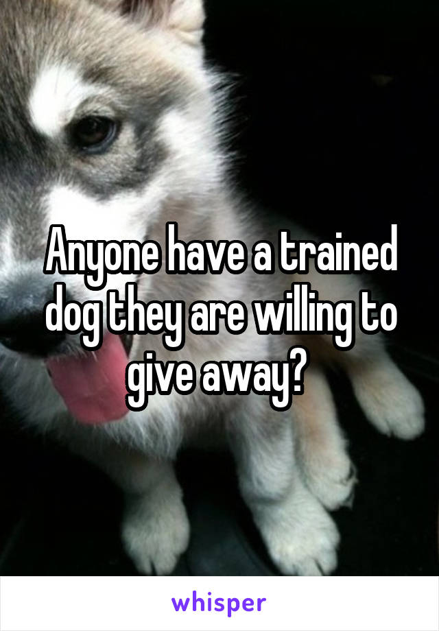 Anyone have a trained dog they are willing to give away? 