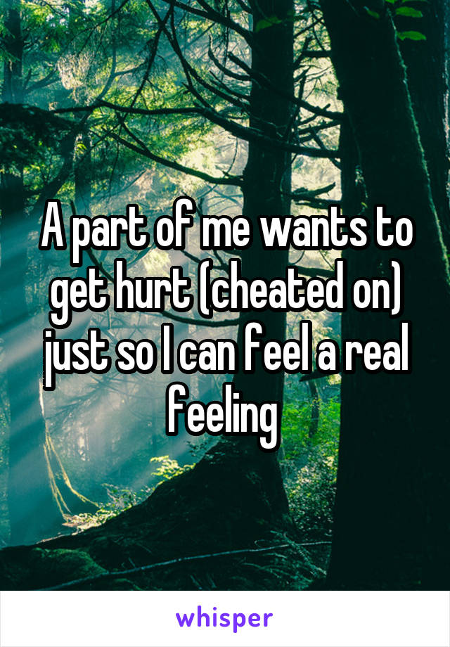 A part of me wants to get hurt (cheated on) just so I can feel a real feeling 