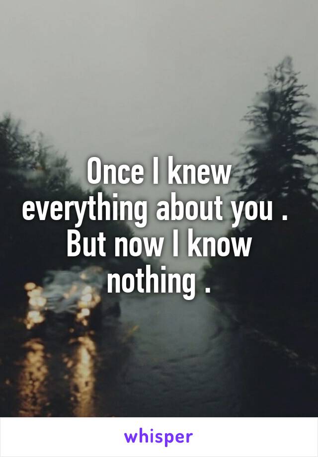 Once I knew everything about you . 
But now I know nothing .