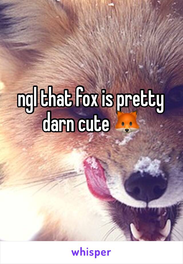 ngl that fox is pretty darn cute 🦊