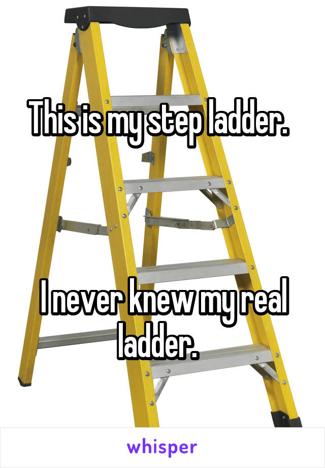 This is my step ladder.  



I never knew my real ladder.  