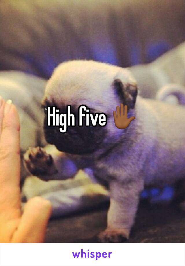 High five ✋🏾 
