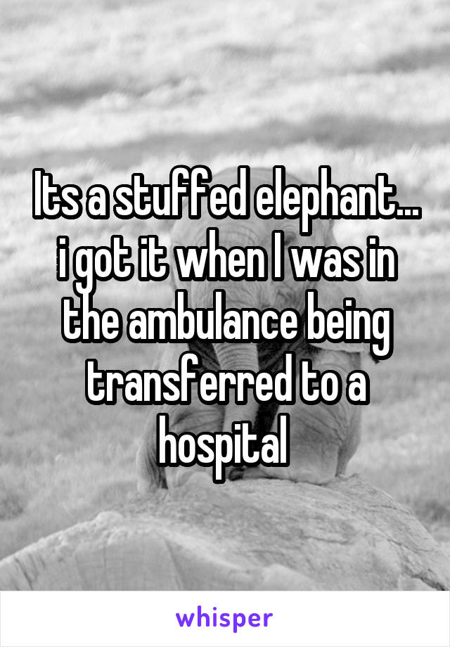 Its a stuffed elephant... i got it when I was in the ambulance being transferred to a hospital 