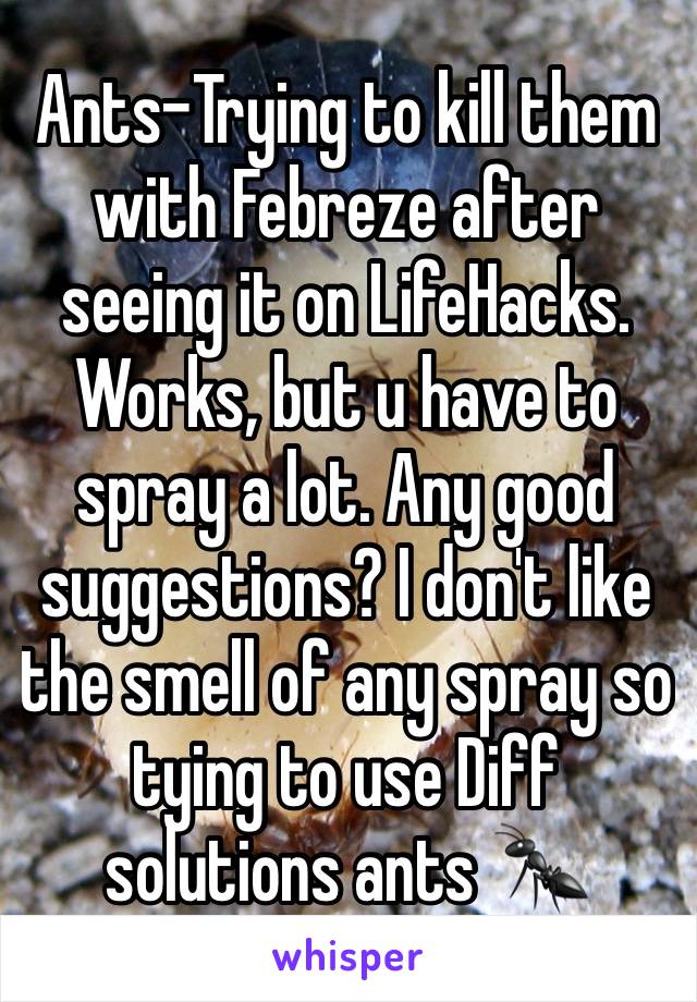 Ants-Trying to kill them with Febreze after seeing it on LifeHacks. Works, but u have to spray a lot. Any good suggestions? I don't like the smell of any spray so tying to use Diff solutions ants 🐜 