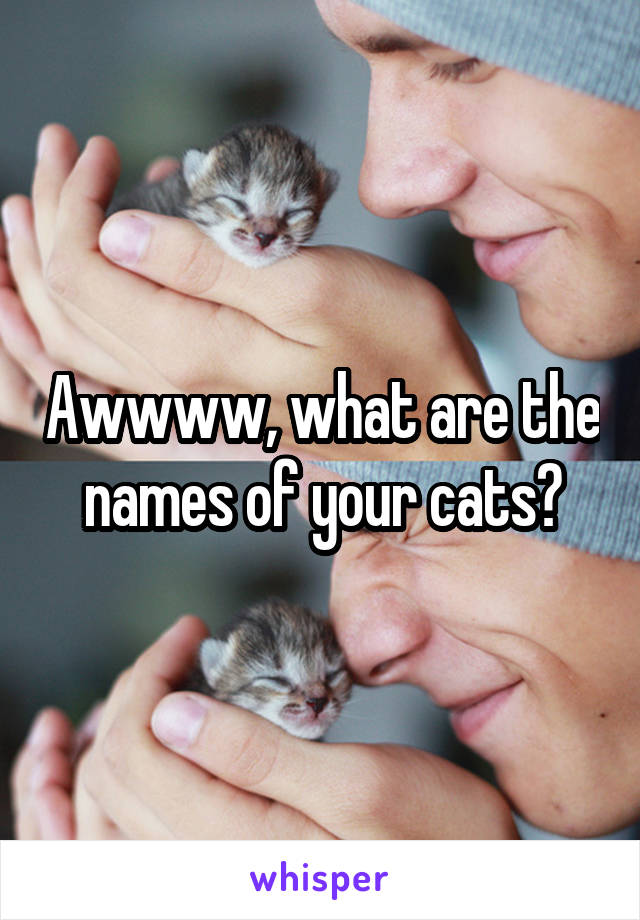 Awwww, what are the names of your cats?