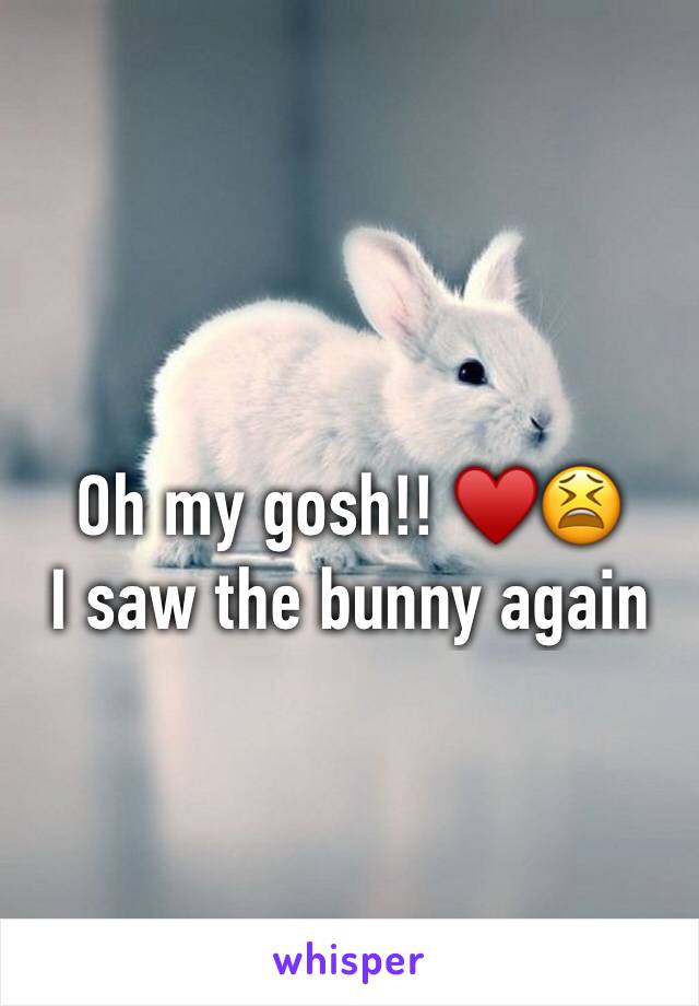 Oh my gosh!! ♥️😫
I saw the bunny again