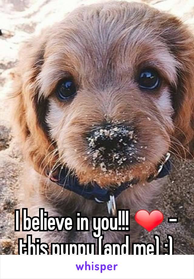 I believe in you!!! ❤ -this puppy (and me) :)