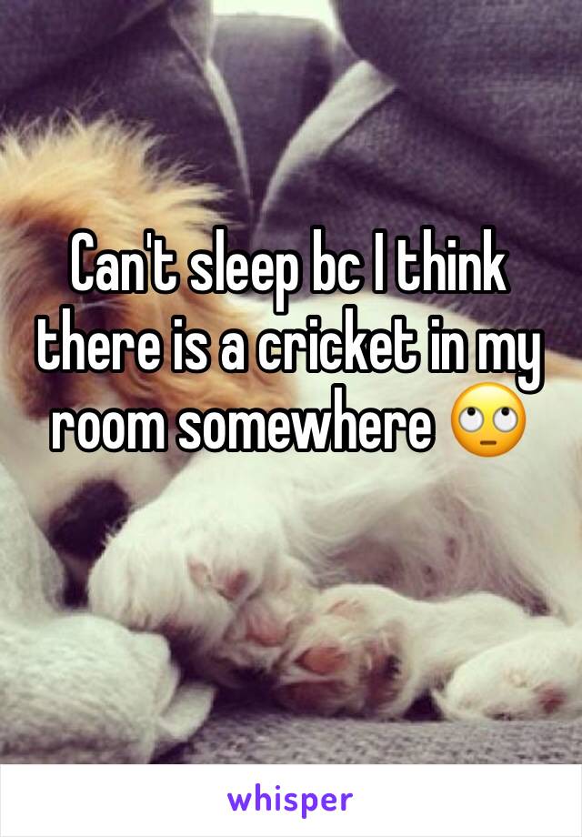 Can't sleep bc I think there is a cricket in my room somewhere 🙄