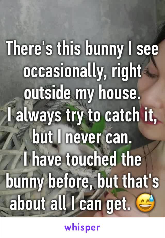 There's this bunny I see occasionally, right outside my house. 
I always try to catch it, but I never can.
I have touched the bunny before, but that's about all I can get. 😅