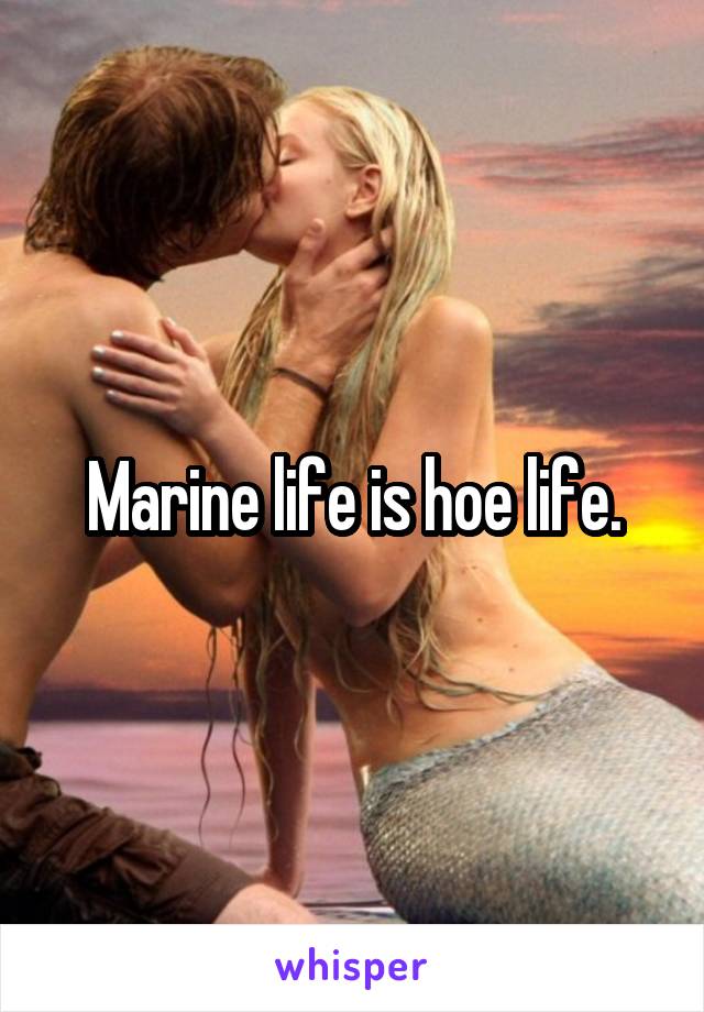 Marine life is hoe life.