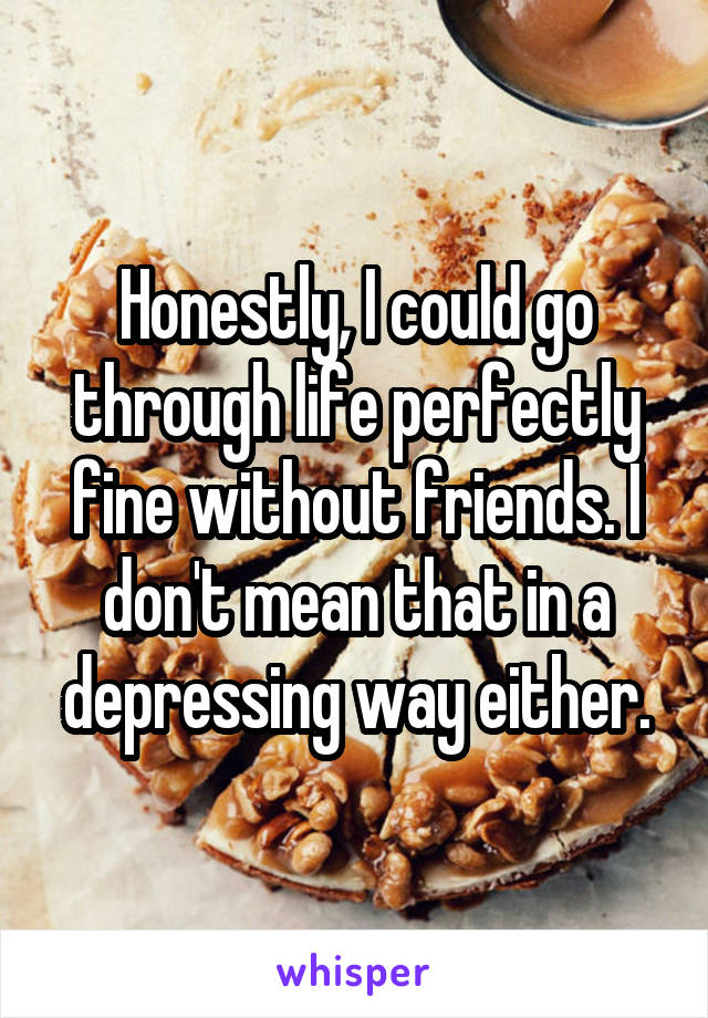 Honestly, I could go through life perfectly fine without friends. I don't mean that in a depressing way either.