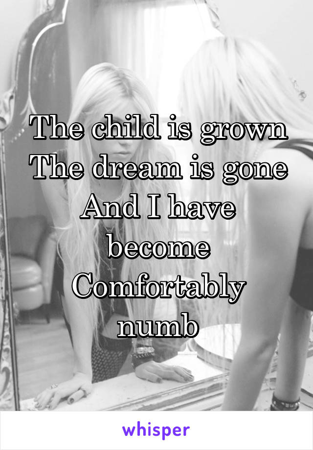 The child is grown
The dream is gone
And I have become
Comfortably numb