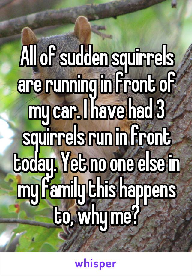 All of sudden squirrels are running in front of my car. I have had 3 squirrels run in front today. Yet no one else in my family this happens to, why me?