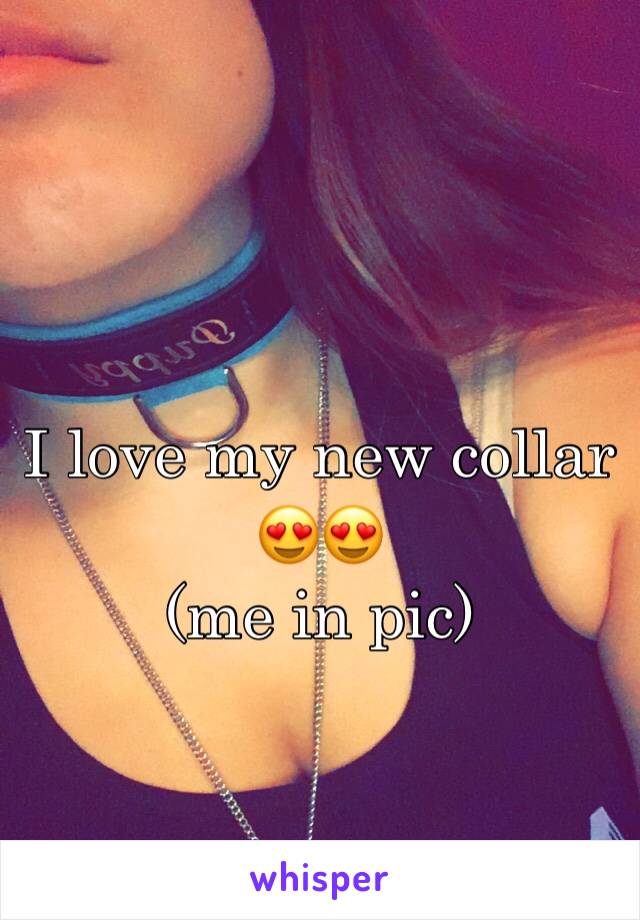 I love my new collar 😍😍 
(me in pic)