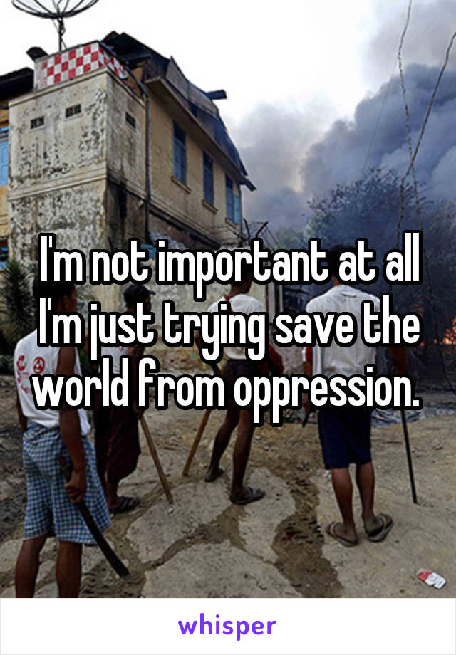 I'm not important at all I'm just trying save the world from oppression. 