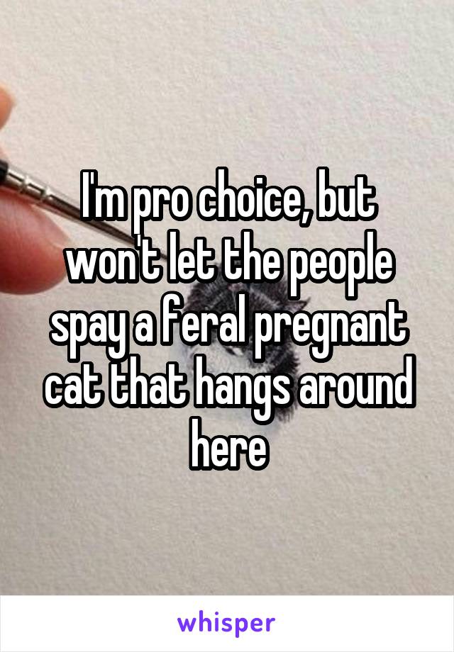 I'm pro choice, but won't let the people spay a feral pregnant cat that hangs around here